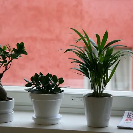 Makelankatu 15 C 29 Apartamento Helsinki